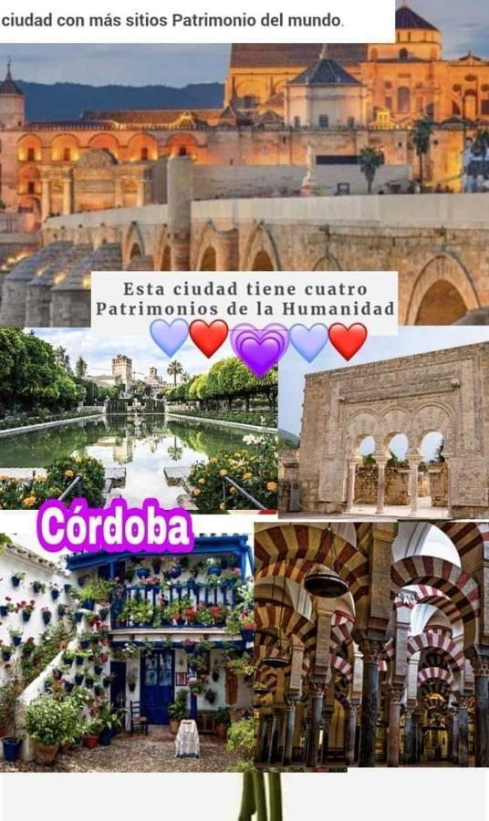 Grupo Limcotel El Paseito De Concha-Mesquita-Parking Кордова Экстерьер фото